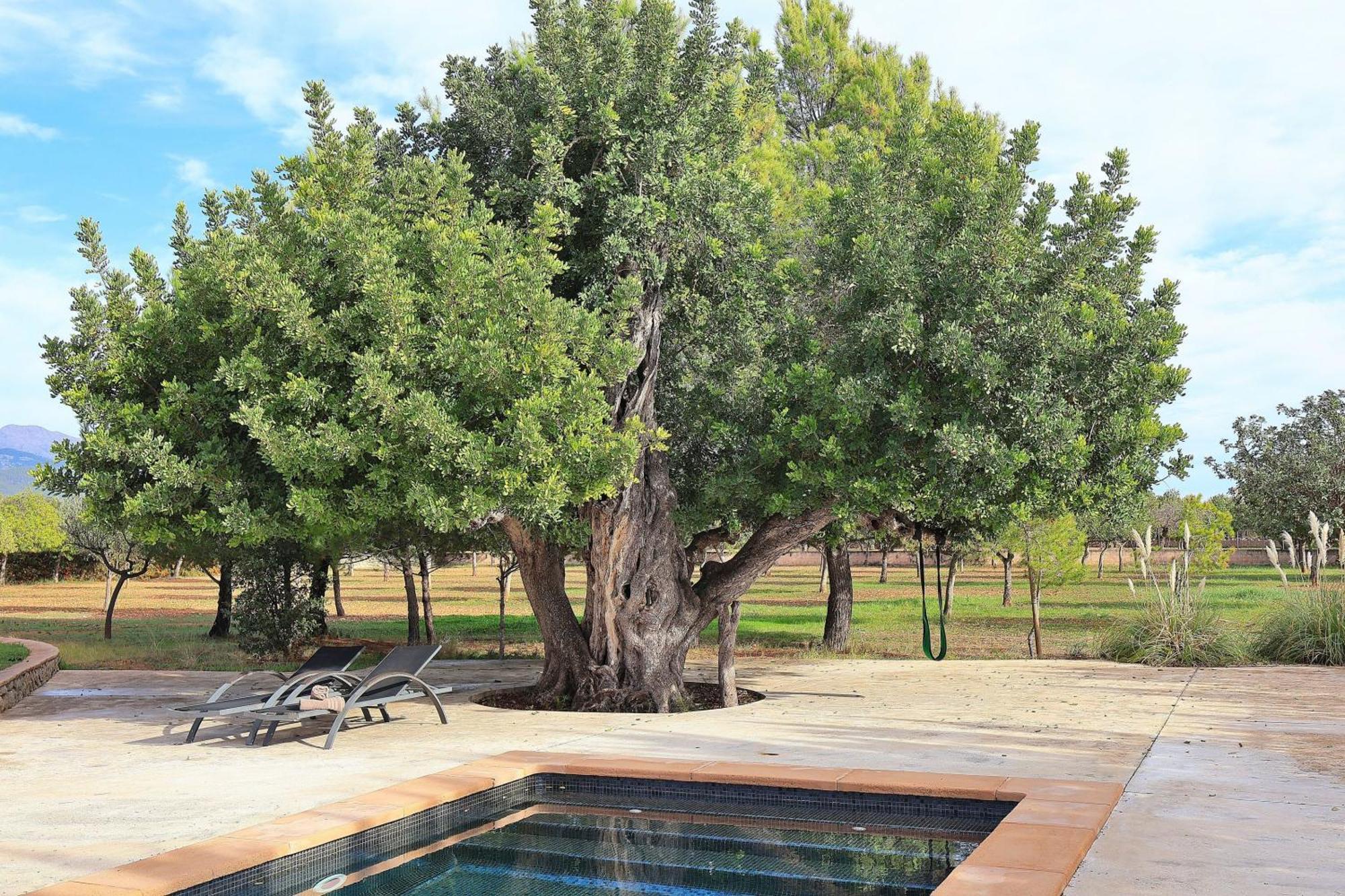 151 Villa Es Triquet Et3366 By Mallorca Charme Binisalem Exterior foto